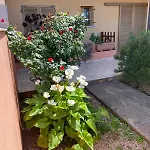 Casa I Corbezzoli - Paduledda - Isola Rossa Holiday home *