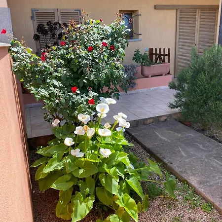 Casa I Corbezzoli - Paduledda - Isola Rossa 펜션 *